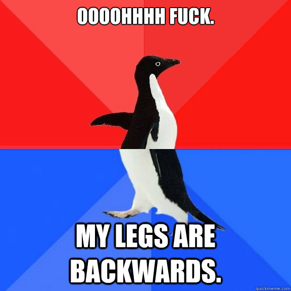oooohhhh fuck. MY LEGS ARE BACKWARDS. - oooohhhh fuck. MY LEGS ARE BACKWARDS.  Socially Awksome Penguin