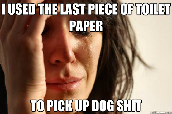 I used the last piece of toilet paper to pick up dog shit  First World Problems