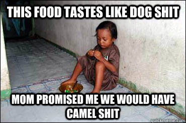 this food tastes like dog shit mom promised me we would have camel shit  Third World Problems