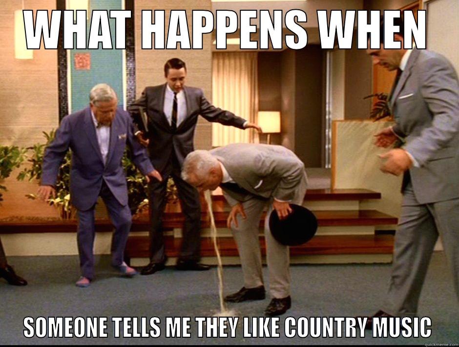 WHAT HAPPENS WHEN SOMEONE TELLS ME THEY LIKE COUNTRY MUSIC Misc
