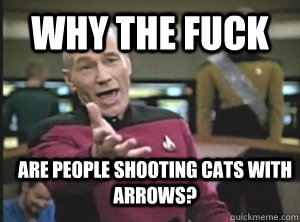 Why the Fuck Are people shooting cats with arrows?  Annoyed Picard