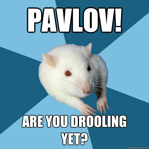 PAVLOV! Are you drooling 
yet?  Psychology Major Rat