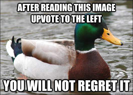 After reading this image upvote to the left You will not regret it  Actual Advice Mallard