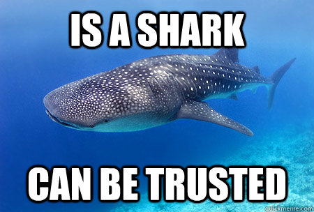 is a shark Can be trusted - is a shark Can be trusted  Good Guy Whale Shark