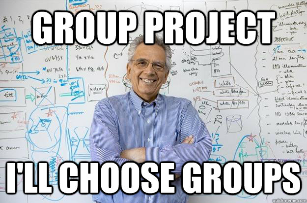 group project i'll choose groups - group project i'll choose groups  Engineering Professor