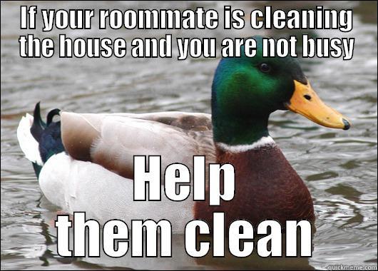 IF YOUR ROOMMATE IS CLEANING THE HOUSE AND YOU ARE NOT BUSY HELP THEM CLEAN Actual Advice Mallard