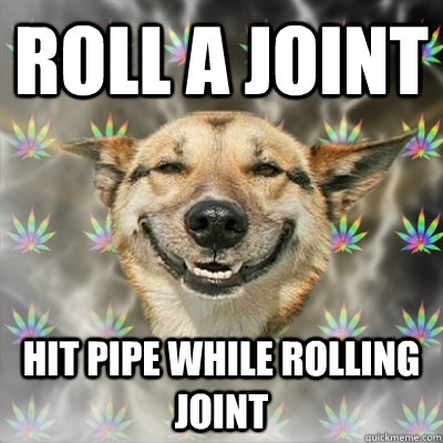 roll a joint hit pipe while rolling joint  Stoner Dog