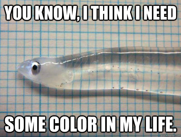 You know, I think I need  some color in my life. - You know, I think I need  some color in my life.  transparent fish
