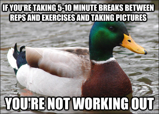 If you're taking 5-10 minute breaks between reps and exercises and taking pictures You're not working out - If you're taking 5-10 minute breaks between reps and exercises and taking pictures You're not working out  Actual Advice Mallard