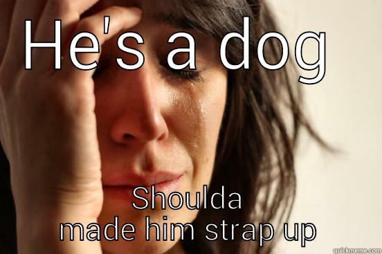HE'S A DOG  SHOULDA MADE HIM STRAP UP First World Problems