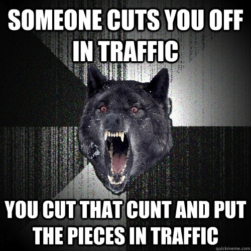 someone cuts you off in traffic you cut that cunt and put the pieces in traffic  Insanity Wolf