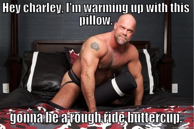 HEY CHARLEY, I'M WARMING UP WITH THIS PILLOW. GONNA BE A ROUGH RIDE BUTTERCUP. Gorilla Man