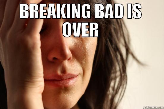 BREAKING BAD IS OVER  First World Problems