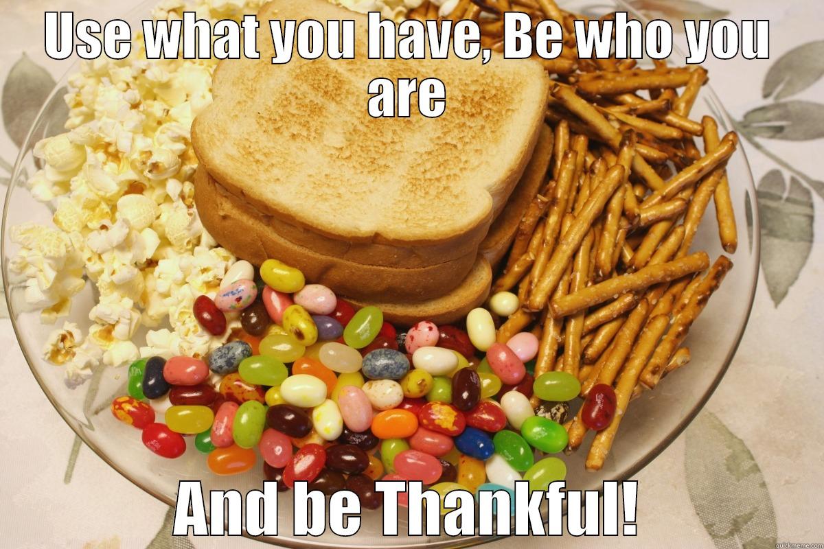 USE WHAT YOU HAVE, BE WHO YOU ARE AND BE THANKFUL! Misc