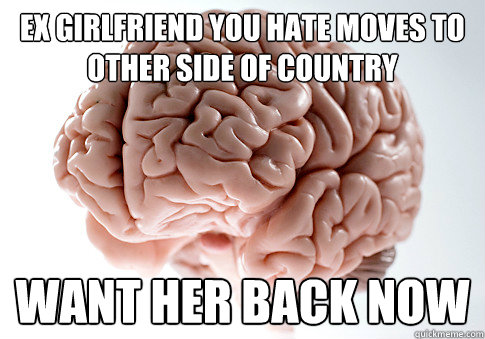 Ex girlfriend you hate moves to other side of country want her back now  Scumbag Brain