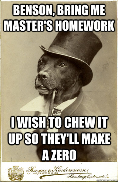 Benson, bring me master's homework I wish to chew it up so they'll make a zero - Benson, bring me master's homework I wish to chew it up so they'll make a zero  Old Money Dog