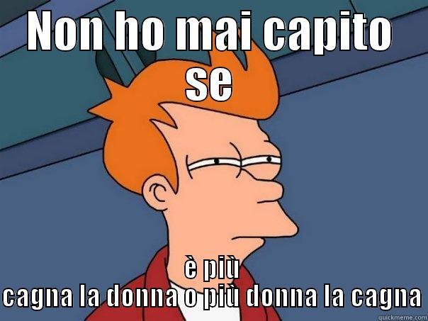 NON HO MAI CAPITO SE È PIÙ CAGNA LA DONNA O PIÙ DONNA LA CAGNA Futurama Fry