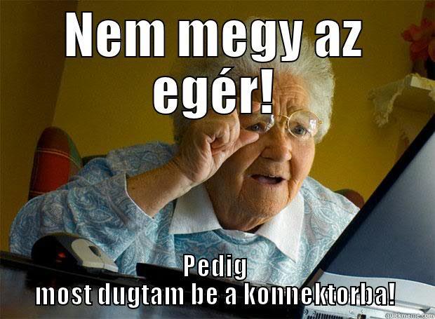 NEM MEGY AZ EGÉR! PEDIG MOST DUGTAM BE A KONNEKTORBA! Grandma finds the Internet