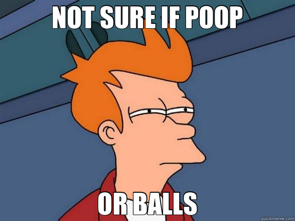 NOT SURE IF POOP OR BALLS  Futurama Fry