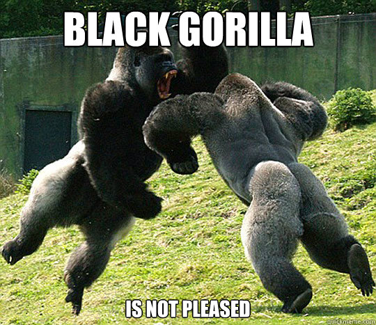Black gorilla is not pleased  