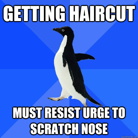 getting haircut must resist urge to scratch nose  Socially Awkward Penguin