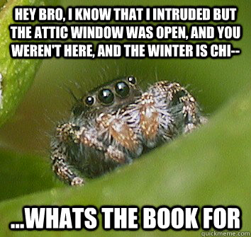 Hey bro, i know that i intruded but the attic window was open, and you weren't here, and the winter is chi-- ...whats the book for  Misunderstood Spider