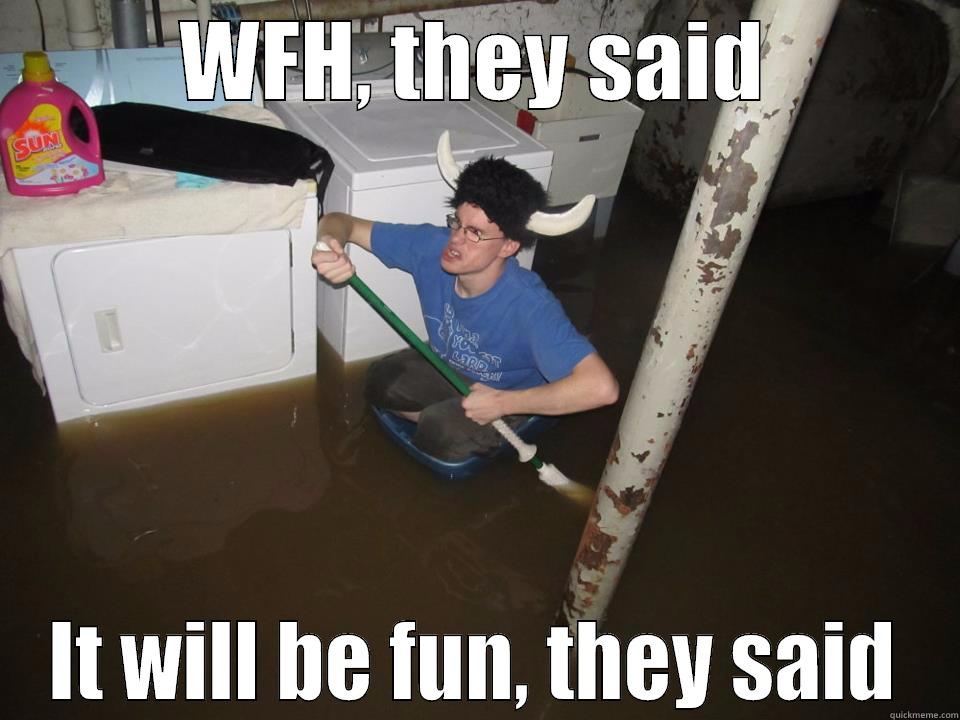 WFH, THEY SAID IT WILL BE FUN, THEY SAID Misc
