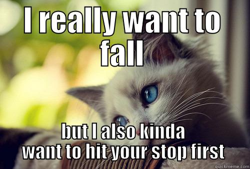 I REALLY WANT TO FALL BUT I ALSO KINDA WANT TO HIT YOUR STOP FIRST First World Cat Problems