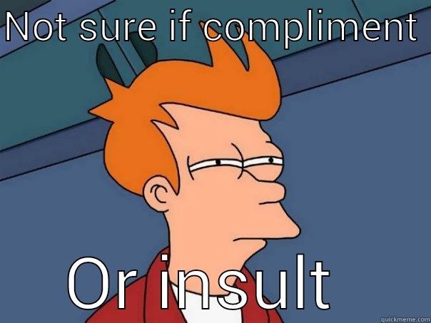 NOT SURE IF COMPLIMENT  OR INSULT  Futurama Fry