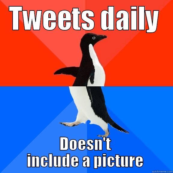 TWEETS DAILY DOESN'T INCLUDE A PICTURE Socially Awesome Awkward Penguin