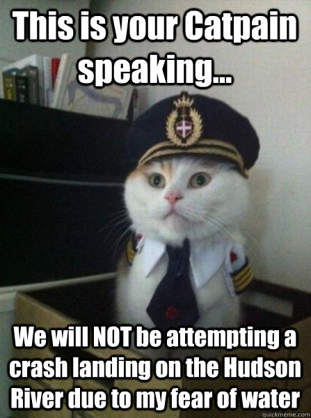 This is your Catpain speaking... We will NOT be attempting a crash landing on the Hudson River due to my fear of water  Captain kitteh
