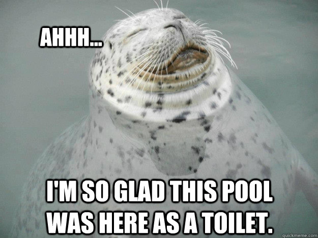 I'm so glad this pool was here as a toilet. Ahhh...  Zen Seal