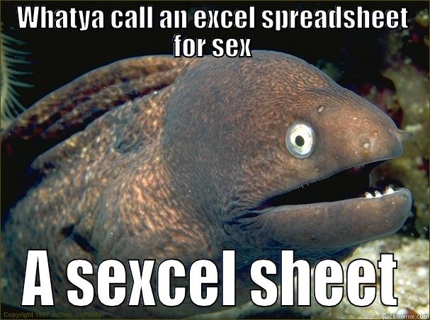 WHATYA CALL AN EXCEL SPREADSHEET FOR SEX A SEXCEL SHEET Bad Joke Eel