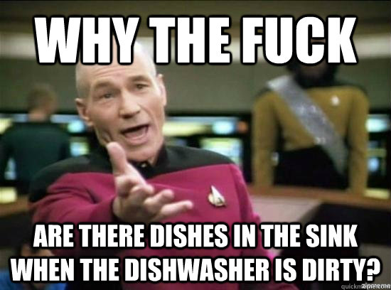Why the fuck are there dishes in the sink when the dishwasher is dirty?  Annoyed Picard HD