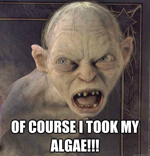  Of course I took my Algae!!! -  Of course I took my Algae!!!  Bigot Gollum