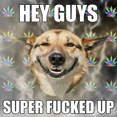 HEY GUYS SUPER FUCKED UP  Stoner Dog