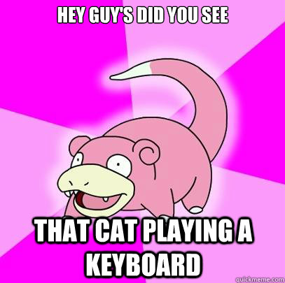 Hey guy's Did you see that cat playing a keyboard  Slowpoke