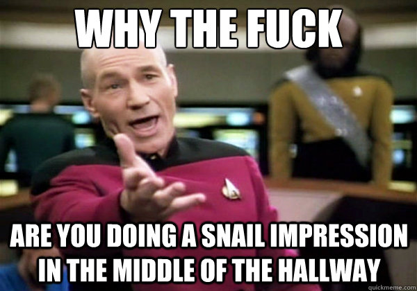 Why the fuck Are you doing a snail impression in the middle of the hallway - Why the fuck Are you doing a snail impression in the middle of the hallway  Why The Fuck Picard
