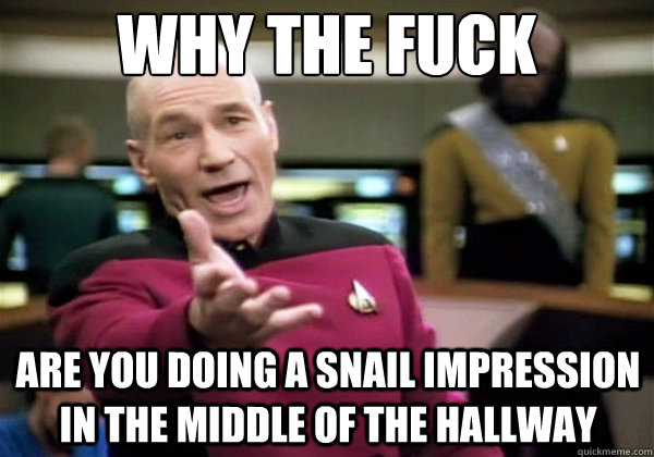 Why the fuck Are you doing a snail impression in the middle of the hallway  Why The Fuck Picard