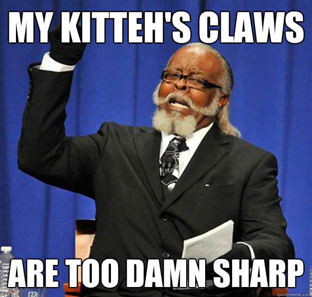 My Kitteh's claws are too damn sharp  Jimmy McMillan