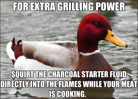 FOR EXTRA GRILLING POWER SQUIRT THE CHARCOAL STARTER FLUID DIRECTLY INTO THE FLAMES WHILE YOUR MEAT IS COOKING.    Malicious Advice Mallard