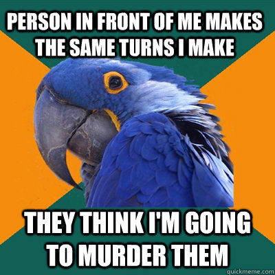 Person in front of me makes the same turns I make They think I'm going to murder them  Paranoid Parrot