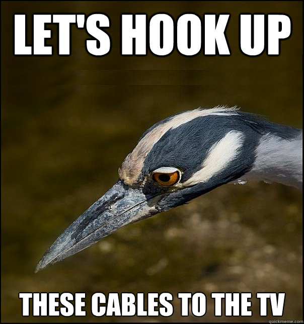 let's hook up these cables to the tv - let's hook up these cables to the tv  Sad Realization Heron