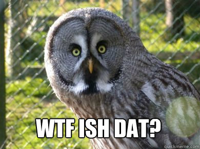 im not a night owl meme im not a night owl meme