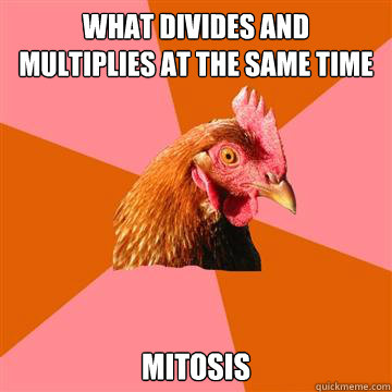 What divides and multiplies at the same time ? mitosis  Anti-Joke Chicken