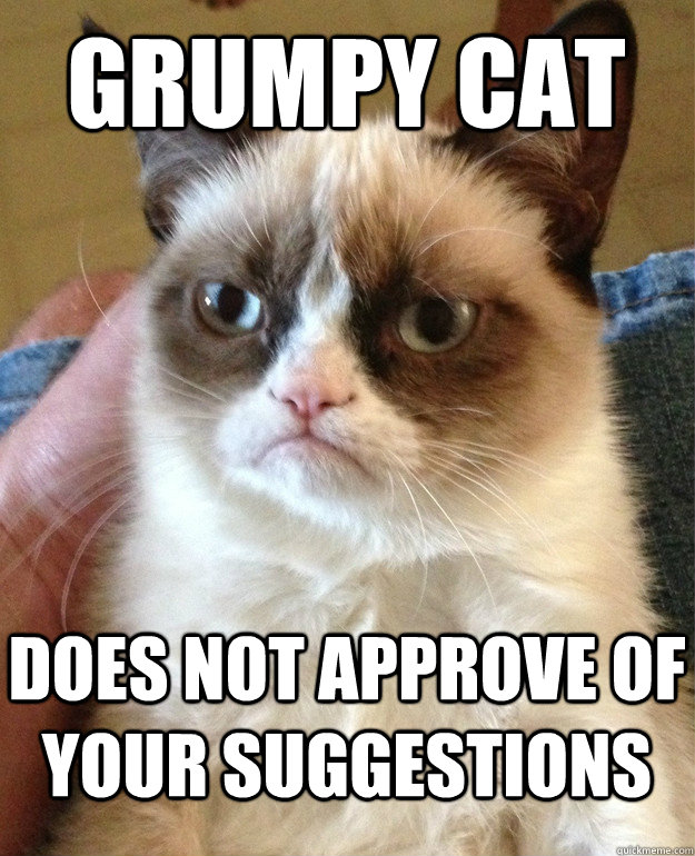 Grumpy Cat Does not approve of your suggestions  Grumpy Cat