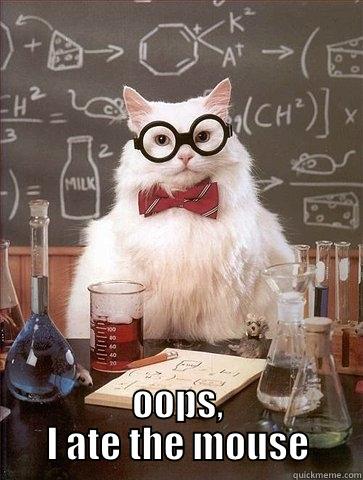  OOPS, I ATE THE MOUSE Chemistry Cat