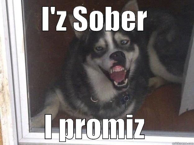 I'Z SOBER I PROMIZ Misc