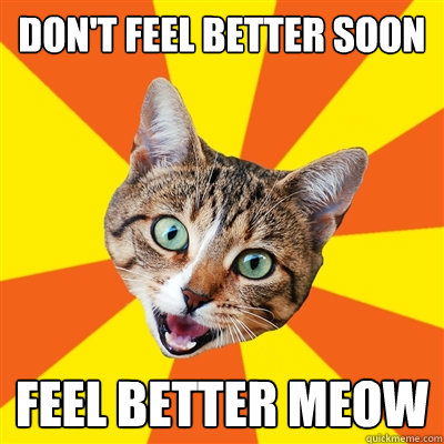 don't feel better soon feel better meow - don't feel better soon feel better meow  Bad Advice Cat