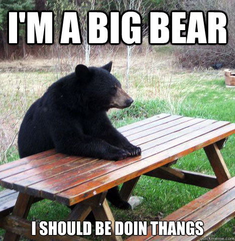i'm a big bear i should be doin thangs  waiting bear
